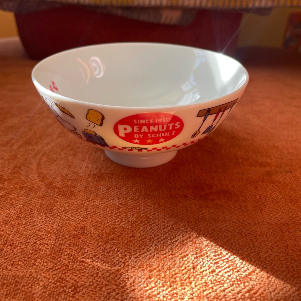 Peanuts Characters Bowl, Purchased at Camp Snoopy in Minnesota